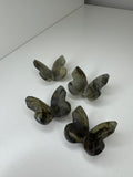 Labradorite 3D Butterfly