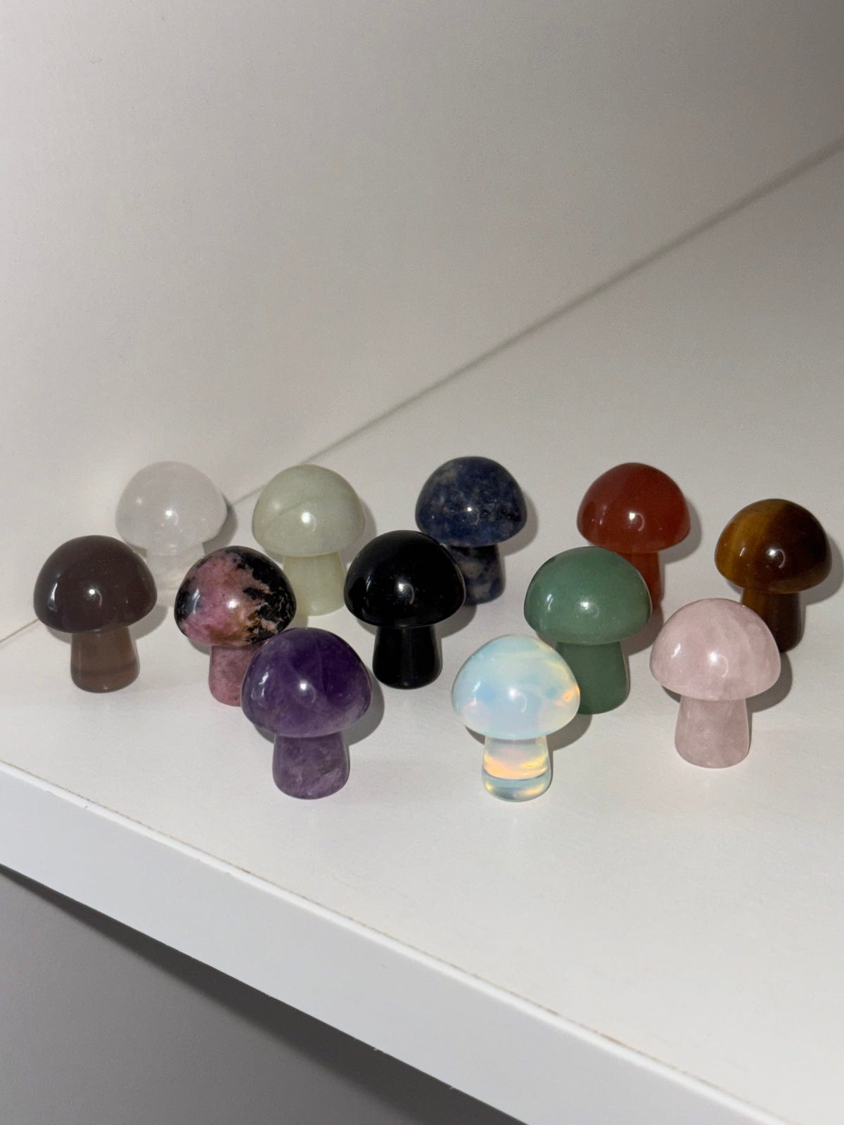 Mini Mushrooms